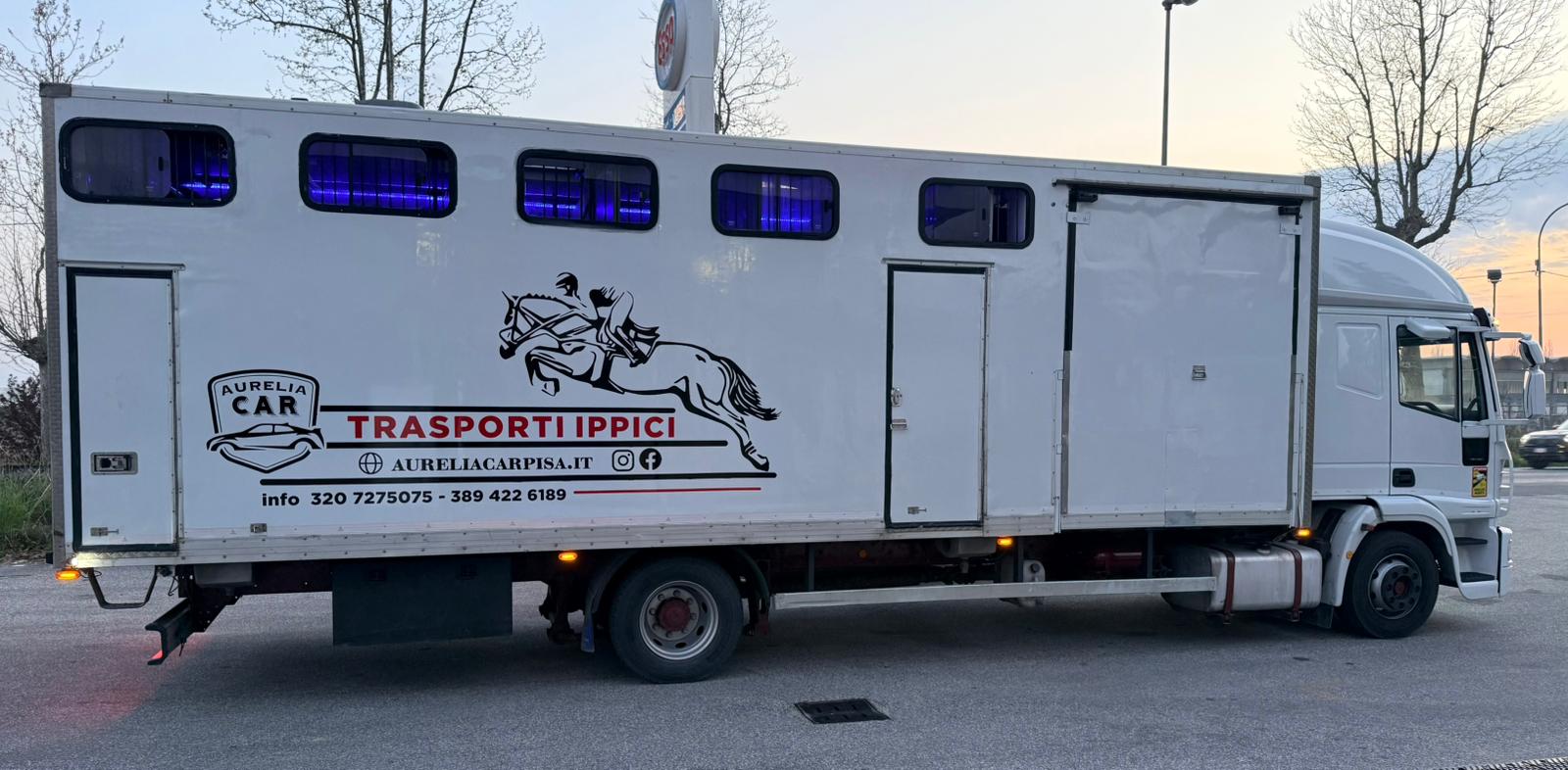 IVECO EUROCARGO - Horse Move: la piattaforma per il trasporto cavalli. Noleggia mezzi, trova trasportatori. Confronta prezzi, leggi feedback, paga sicuro.