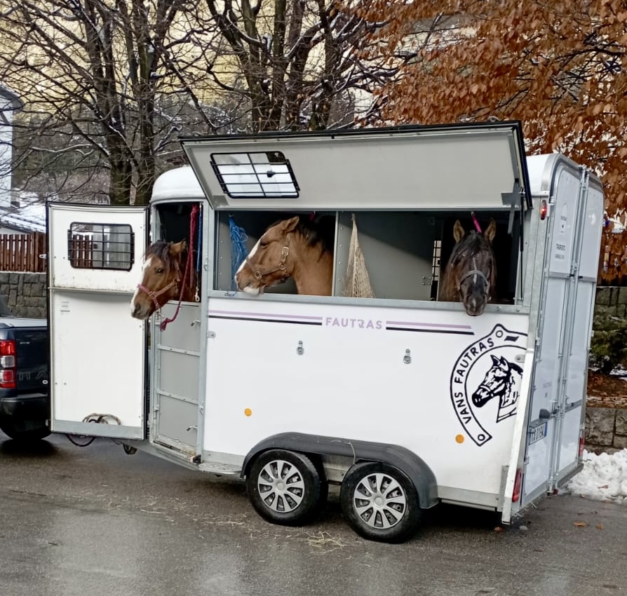 Trailer Fautras Oblic + 2 nuovo  - Horse Move: la piattaforma per il trasporto cavalli. Noleggia mezzi, trova trasportatori. Confronta prezzi, leggi feedback, paga sicuro.